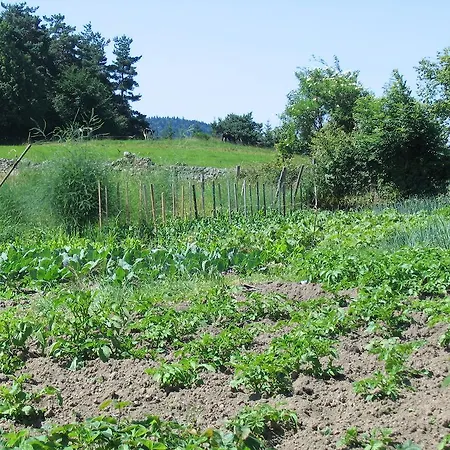 La Ferme Des Genets